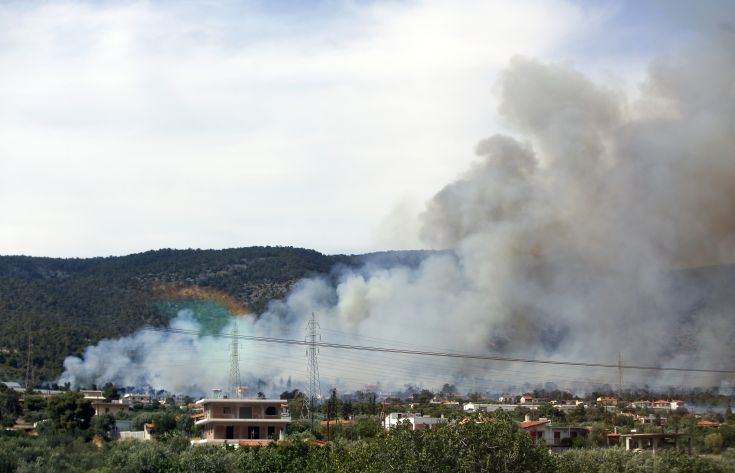 Χωρίς ενεργό μέτωπο η πυρκαγιά στους Αγίους Θεοδώρους