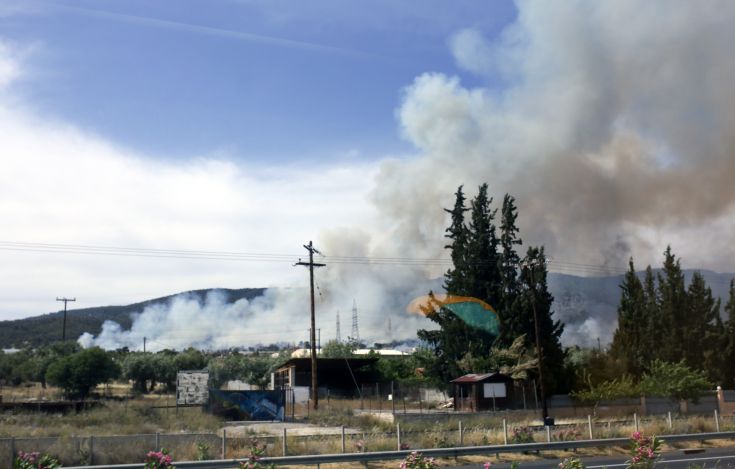 Βρέθηκε απανθρακωμένο άτομο σε χαράδρα στους Αγίους Θεοδώρους