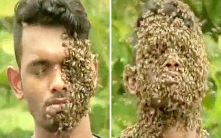 Νεαρός αφήνει 60.000 μέλισσες να… αράξουν στο κεφάλι του