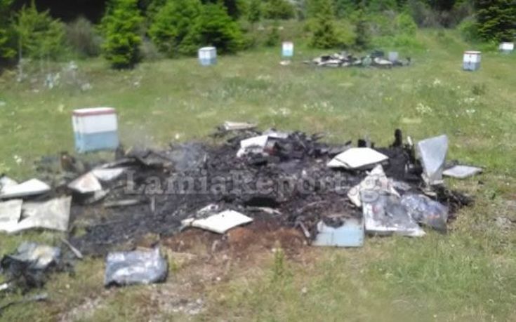 Ανάστατοι οι μελισσοκόμοι για τις καταστροφές σε μελίσσια από αγνώστους