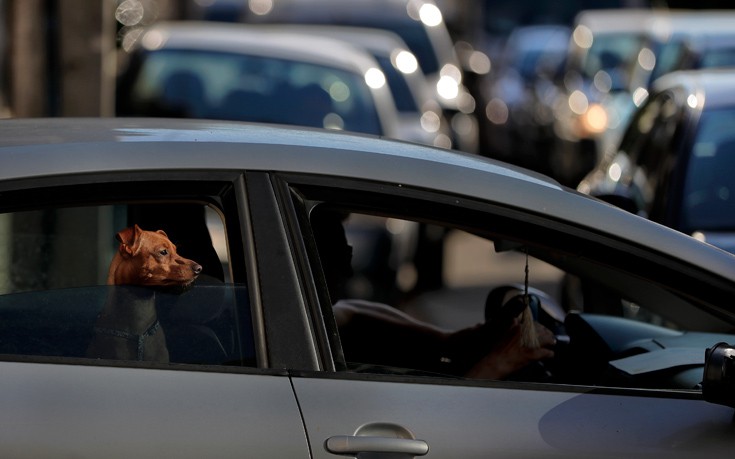 AP_17157636134502 AP_17157636134502