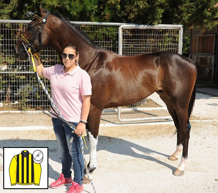 gioutokntoumi1 gioutokntoumi1