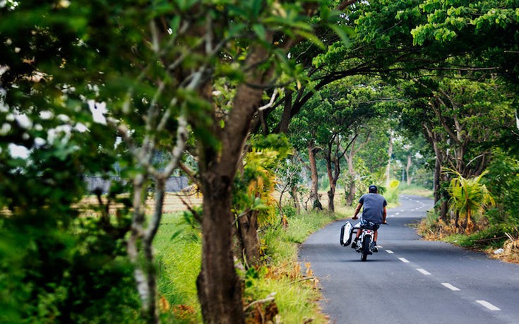 hondadeus7 hondadeus7