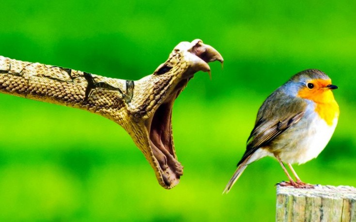 Το δευτερόλεπτο πριν την καταστροφή