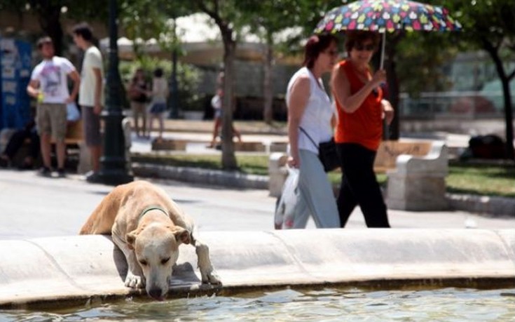 Στους 43°C έφτασε η θερμοκρασία στη Λαμία