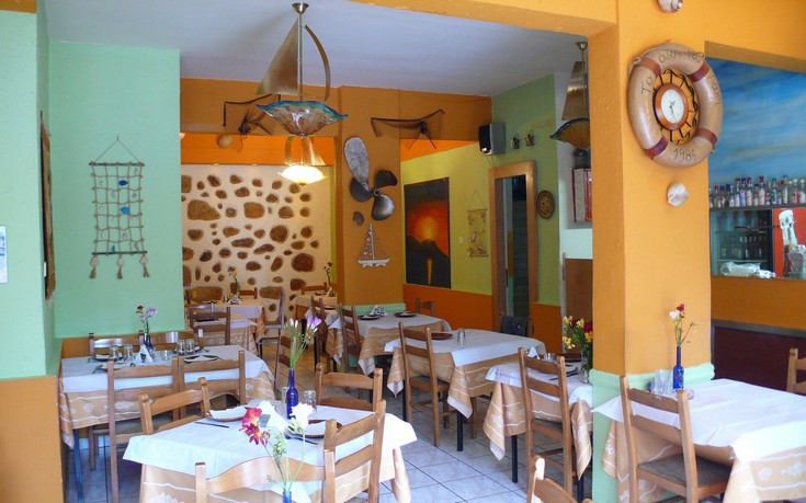 oyzeri_laki oyzeri_laki