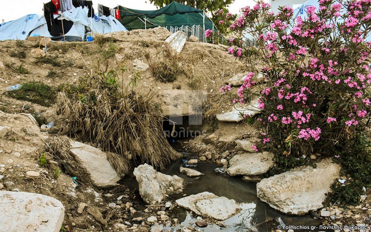 plttxipr10 plttxipr10