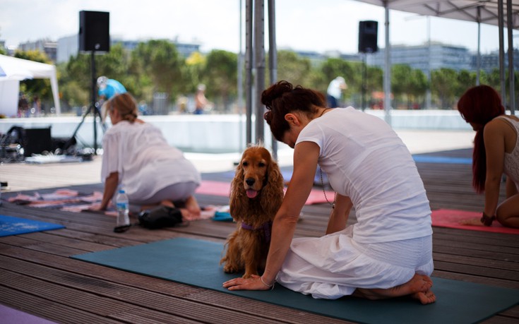 ptrhsnyog3 ptrhsnyog3