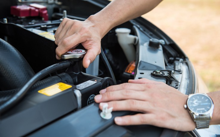 shutterstock380765050 shutterstock380765050