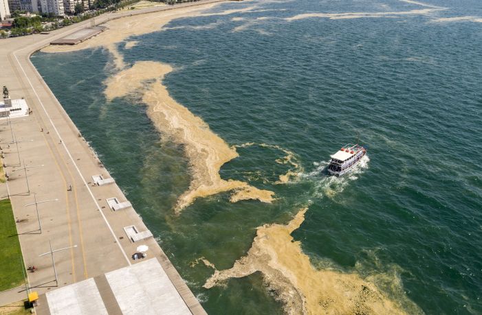 Το φυτοπλαγκτόν δεν εμποδίζει τα καραβάκια του Θερμαϊκού στη δουλειά τους