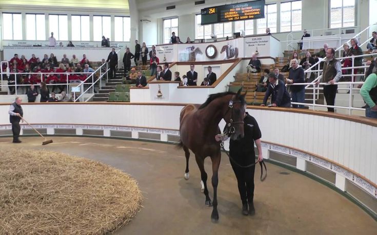 Η ώρα της δημοπρασίας του Tattersalls