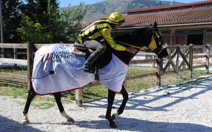 Οι «χρυσοί» νικητές του 71ου Ελληνικού Ντέρμπι ΟΠΑΠ μιλούν για την επιτυχία τους