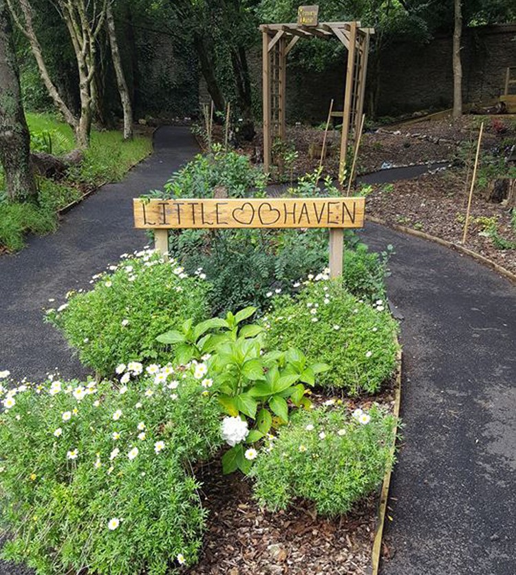 14222291_1112680525491300_1271910582457322626_n 14222291_1112680525491300_1271910582457322626_n