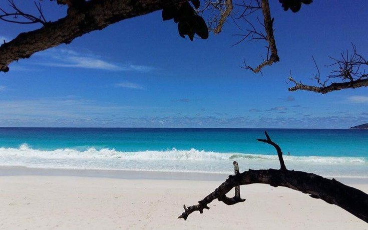 19225287_658763457664210_4980241318370419149_n