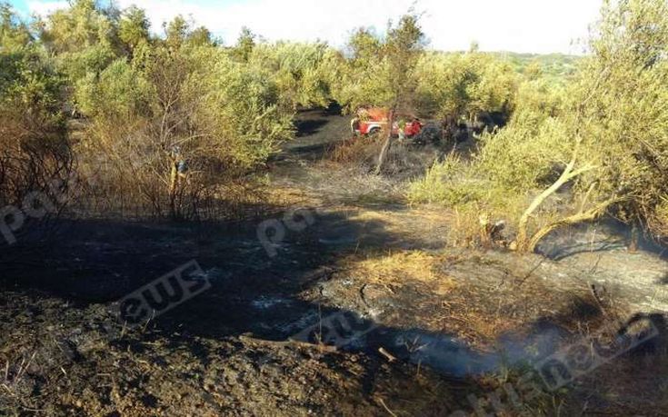 Πυρκαγιά σε αγροτική έκταση στον Ελαιώνα Πύργου