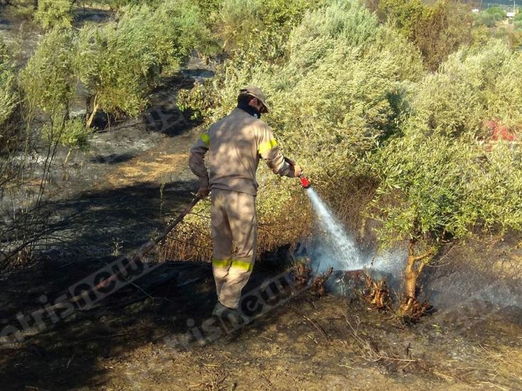 19832581_10209030494343924_891219181_n 19832581_10209030494343924_891219181_n