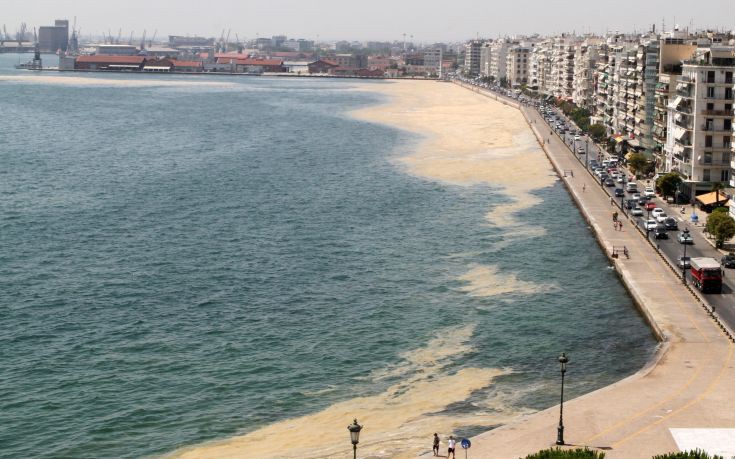 Καθάρισε από το φυτοπλαγκτόν ο Θερμαϊκός