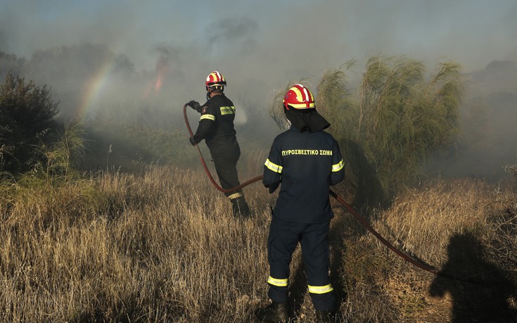 Πυρκαγιά σε αγροτοδασική έκταση στη Θήβα