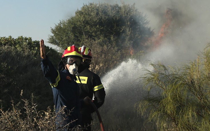 Πυρκαγιά σε αγροτοδασική έκταση στην περιοχή Κούμανι Ηλείας