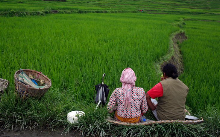 AP_17207298493419 AP_17207298493419