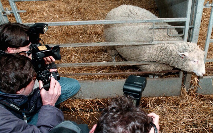 AP_97022503251 AP_97022503251