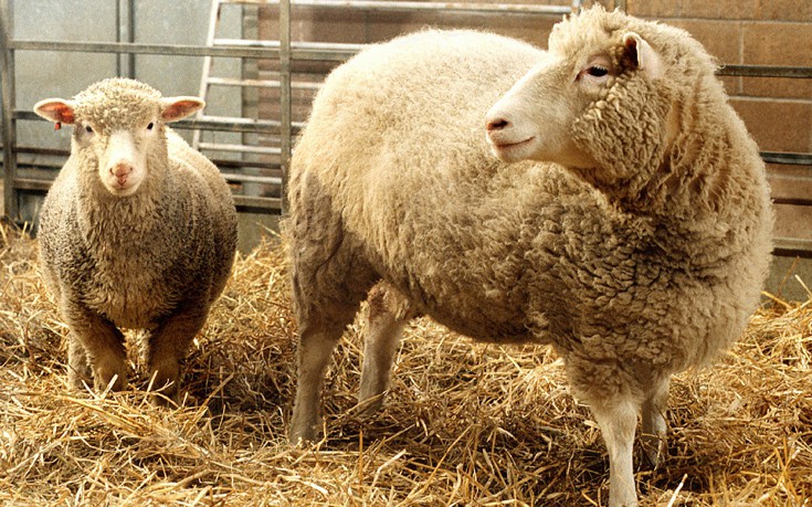 AP_97113002263 AP_97113002263