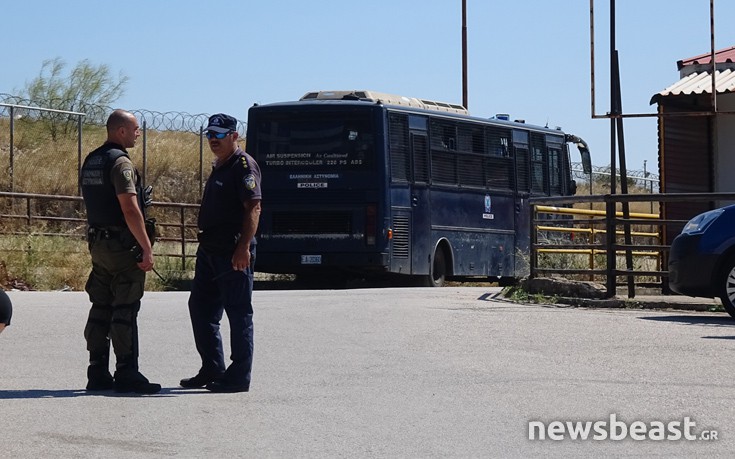 Βρήκαν φυτείες κάνναβης κοντά στο στρατόπεδο Καποτά, χειροπέδες σε 16 άτομα