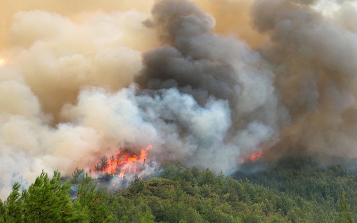 Υπό μερικό έλεγχο η φωτιά στη Λάρισα