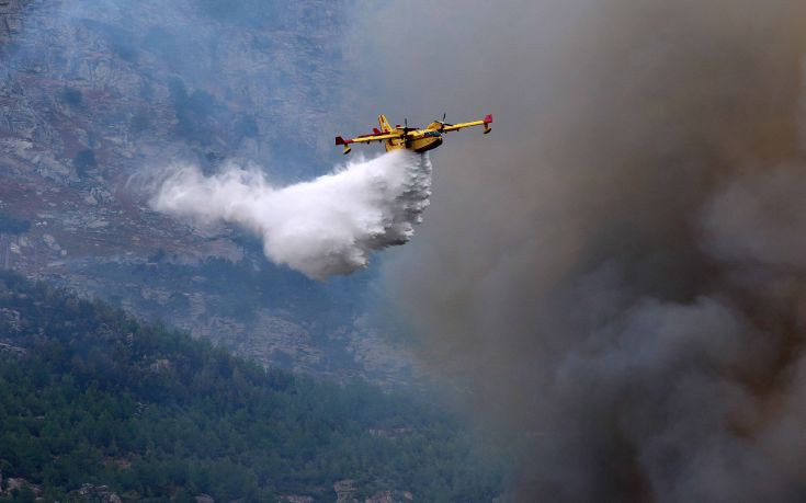 Σε δύο μέτωπα καίει η φωτιά στην Ανάληψη Αμαλιάδας