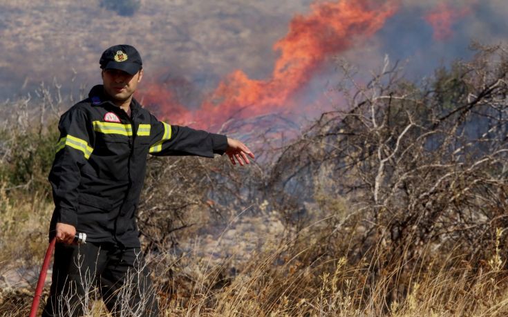 Φωτιά σε δασική έκταση στη Φυλή