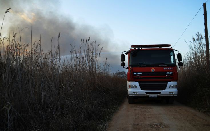 Στάχτη έγιναν 8 στρέμματα δασικής-αγροτικής περιοχής στο Οροπέδιο Λασιθίου