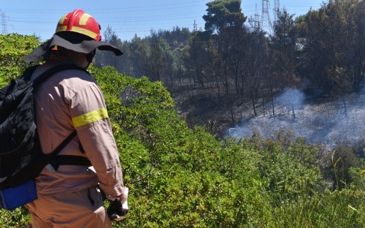 Σε ύφεση βρίσκεται η φωτιά στο Δίλοφο Φαρσάλων