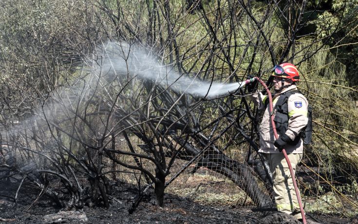 Φωτιά σε ξερά χόρτα στη δυτική είσοδο της Θεσσαλονίκης