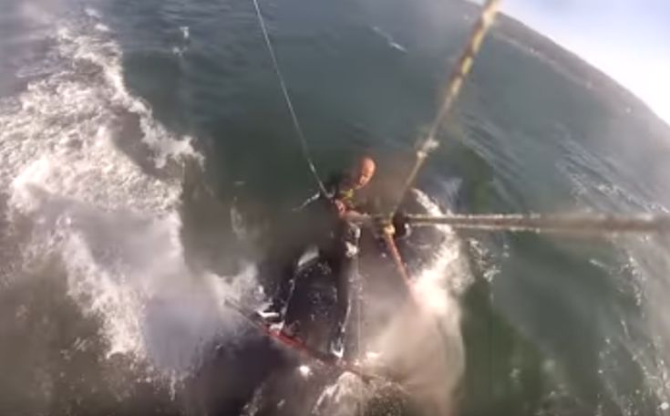 Έκανε kitesurf και σκόνταψε πάνω σε μια… φάλαινα