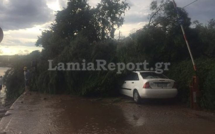 Μπουρίνι, χαλάζι και πτώσεις δέντρων στην ανατολική Φθιώτιδα