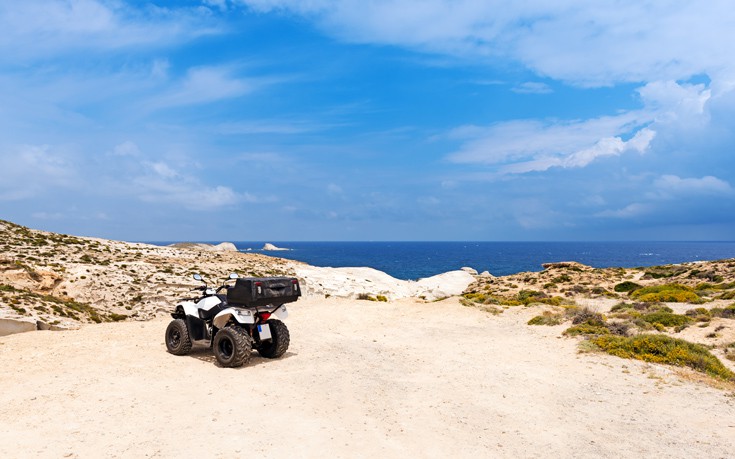 ΣΑΡΑΚΙΝΙΚΟ ΜΗΛΟΣ ΣΑΡΑΚΙΝΙΚΟ ΜΗΛΟΣ