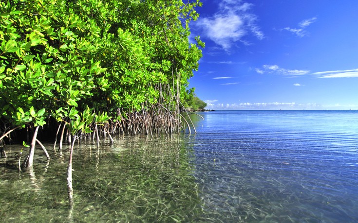 ΝΗΣΙ ΚΟΥΛΕΜΠΡΑ ΠΟΥΕΡΤΟ ΡΙΚΟ ΝΗΣΙ ΚΟΥΛΕΜΠΡΑ ΠΟΥΕΡΤΟ ΡΙΚΟ