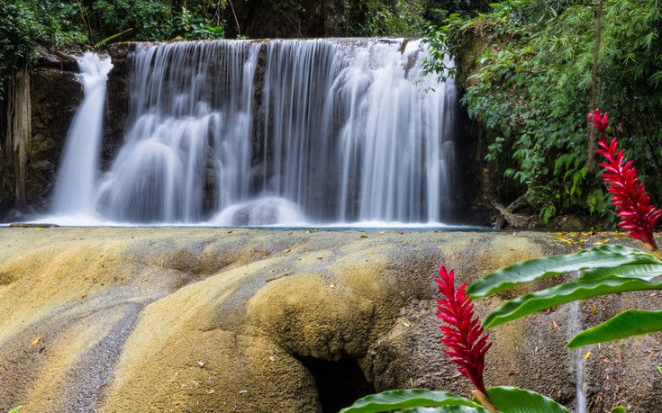ΤΖΑΜΑΙΚΑ ΤΖΑΜΑΙΚΑ