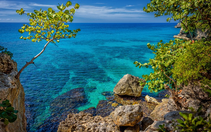 ΤΖΑΜΑΙΚΑ ΤΖΑΜΑΙΚΑ