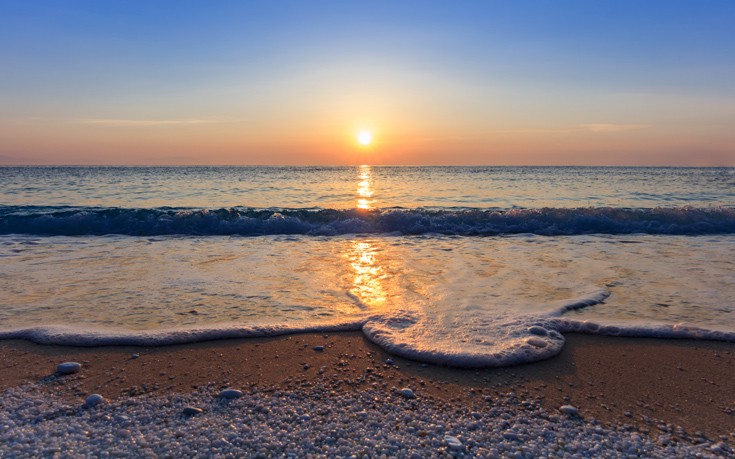 ΣΑΛΙΑΡΑ ΘΑΣΟΣ ΣΑΛΙΑΡΑ ΘΑΣΟΣ