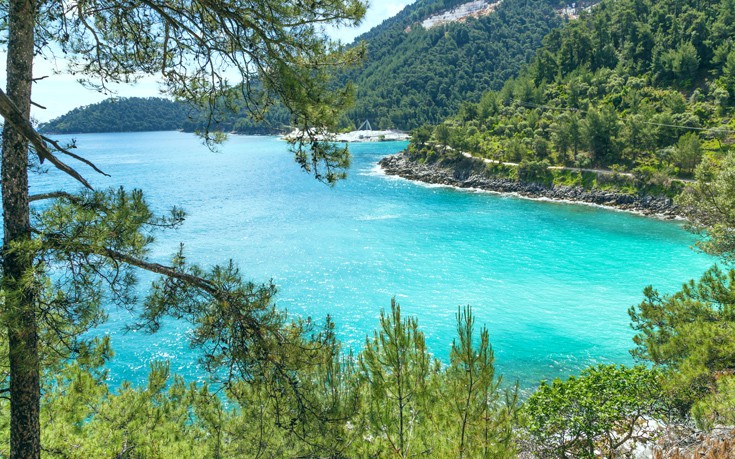 ΣΑΛΙΑΡΑ ΘΑΣΟΣ ΣΑΛΙΑΡΑ ΘΑΣΟΣ