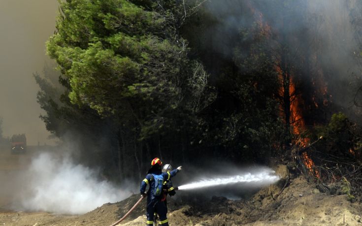 Σε εξέλιξη φωτιά στο Πολυδάμιο Φαρσάλων