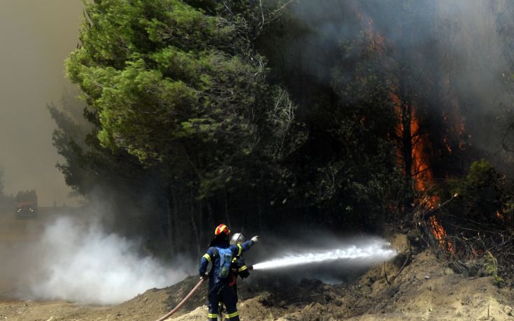 Σε εξέλιξη φωτιά σε δασική έκταση στην Κύμη