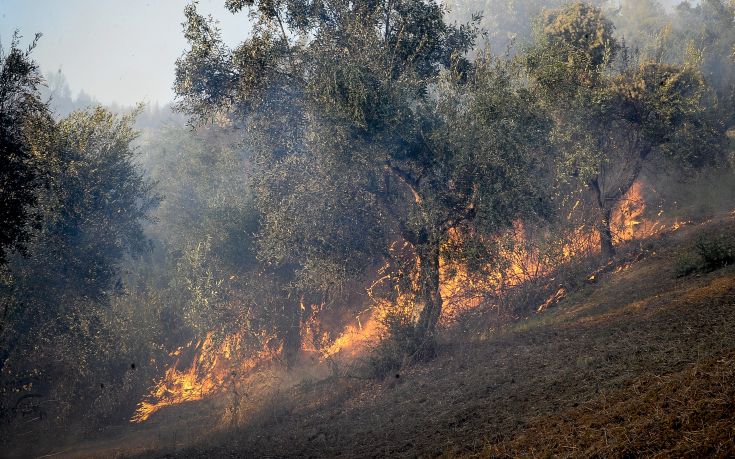 Πυρκαγιά στη Ζάκυνθο