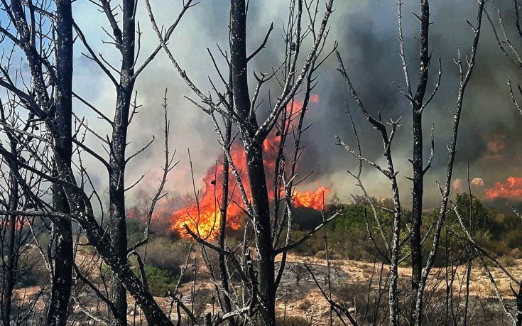 Πολύ υψηλός και πάλι ο κίνδυνος πυρκαγιάς