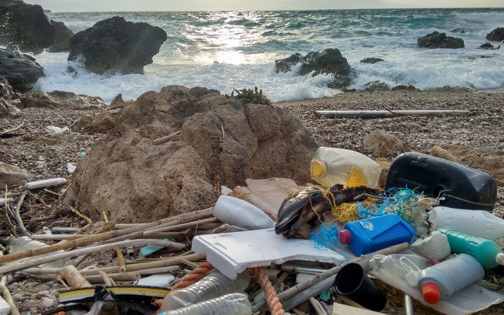 Γεμάτα πλαστικό τα στομάχια των δελφινιών στο Αιγαίο