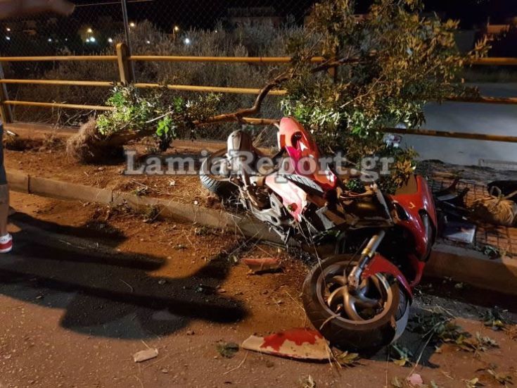 20170825_230013_resized