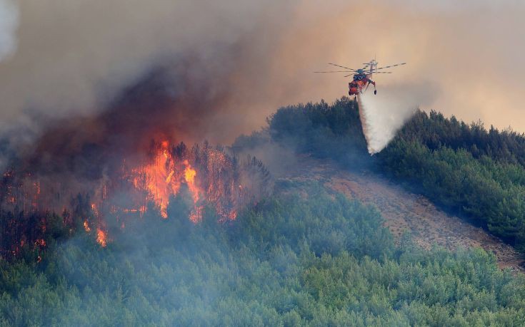 Πυρκαγιά σε δασική έκταση στο Κρυονέρι Αμαλιάδας