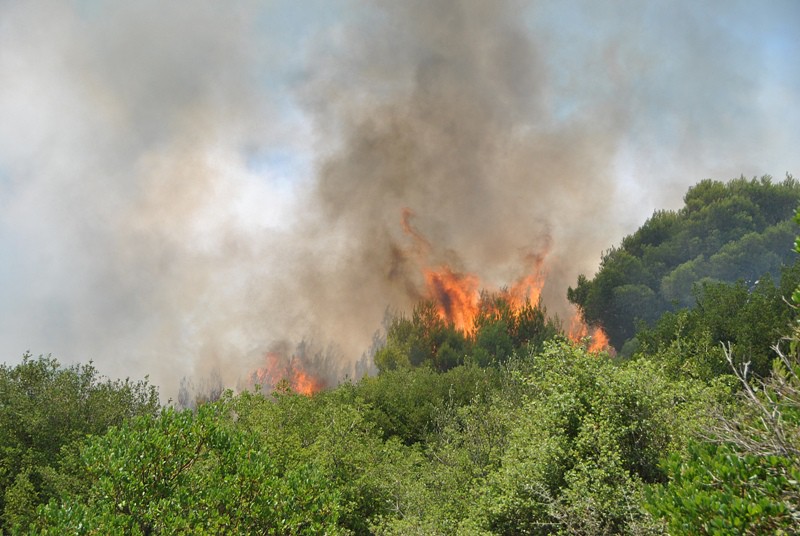 Οι φλόγες πλησιάζουν σπίτια στη Ζάκυνθο, εκκενώνεται χωριό