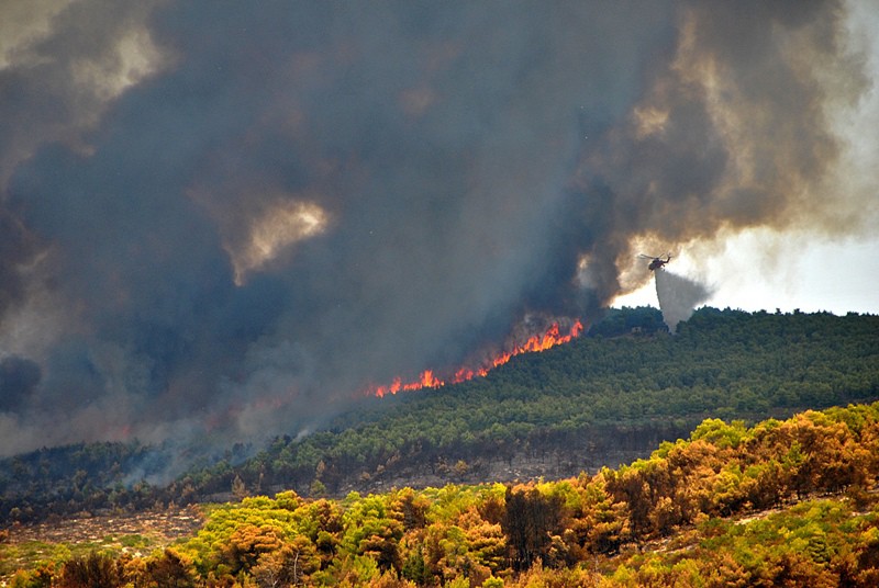 Εθελοντής δασοπυροσβέστης καταδικάστηκε για εμπρησμό